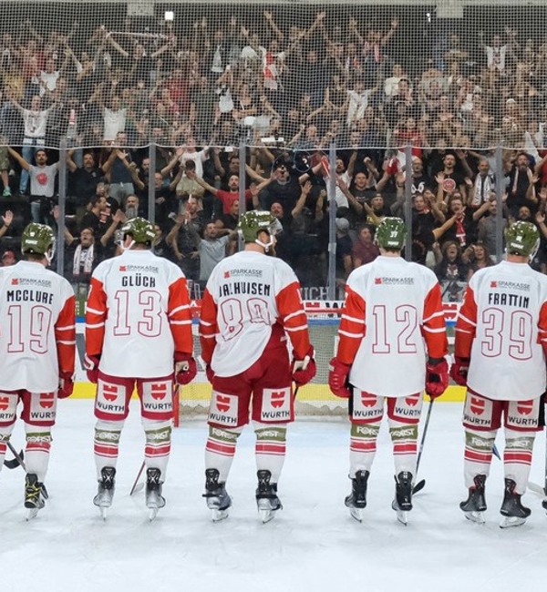 HC-Bz-Foxes.jpg