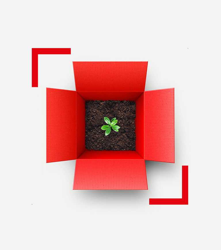 Sparkasse box, tasso di interesse favorevole per somme sul conto corrente non utilizzate