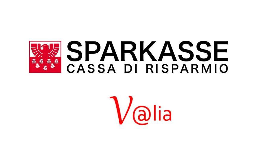 Sparkasse beteiligt sich an V@lia AG